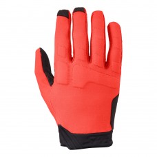 Cycling Gloves